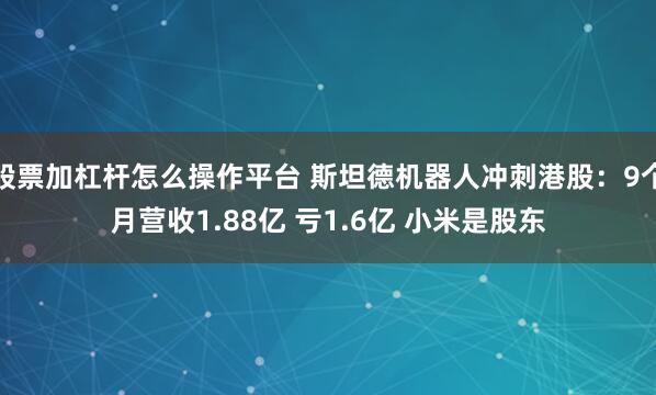 股票加杠杆怎么操作平台 斯坦德机器人冲刺港股：9个月营收1.88亿 亏1.6亿 小米是股东