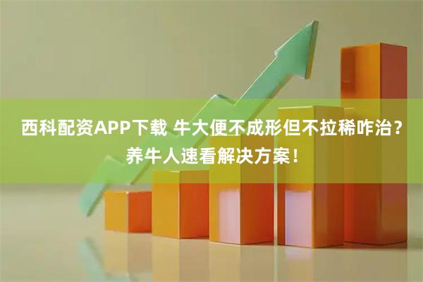 西科配资APP下载 牛大便不成形但不拉稀咋治？养牛人速看解决方案！