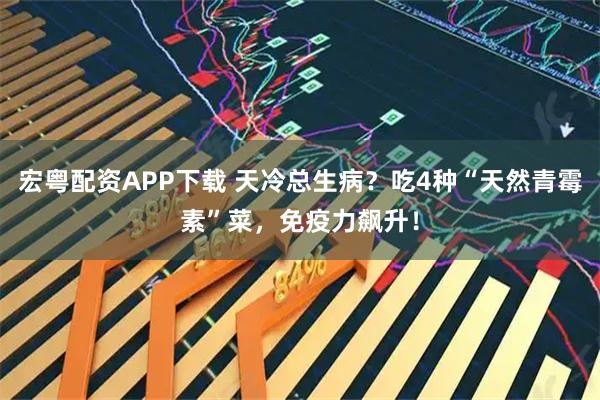 宏粤配资APP下载 天冷总生病？吃4种“天然青霉素”菜，免疫力飙升！